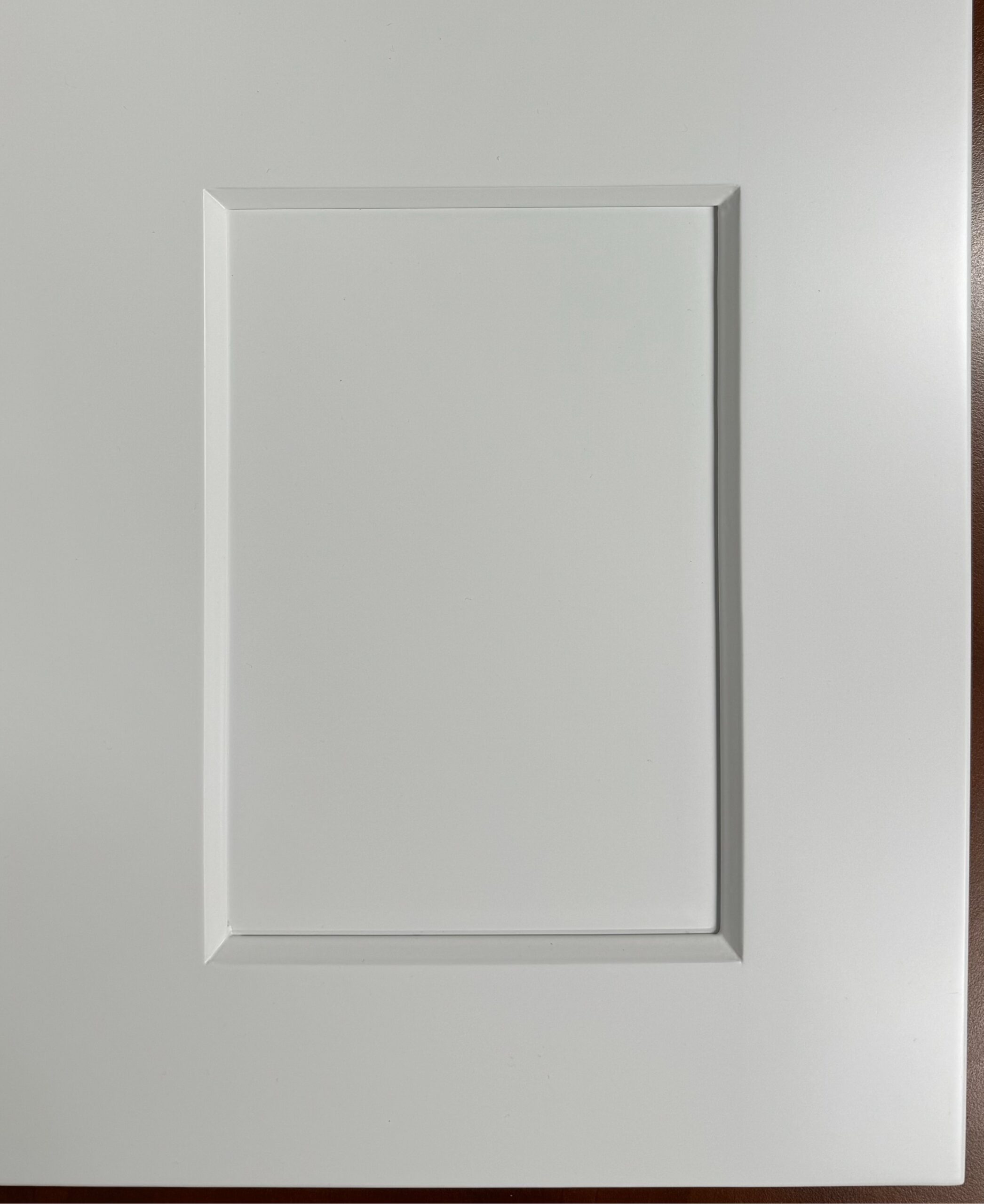 BRIGHT WHITE BEVEL SHAKER DOOR-close
